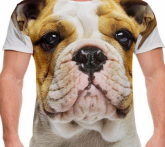 Camiseta com estampa Bulldog Inglês tamanhos G e GG