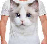 Camiseta masculina estampa gato Ragdoll tamanho GG