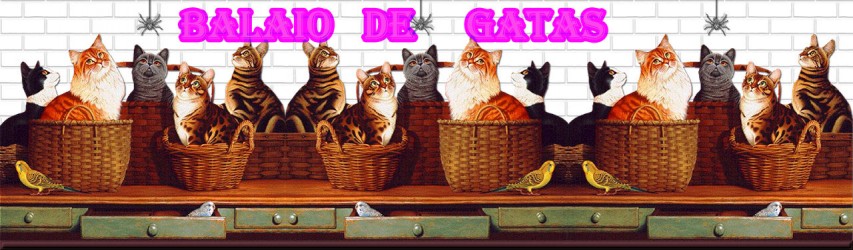 Balaio de Gatas